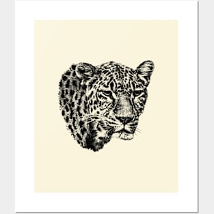 Leopard Posters and Art